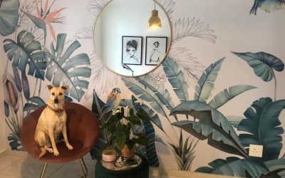 Some exciting new products